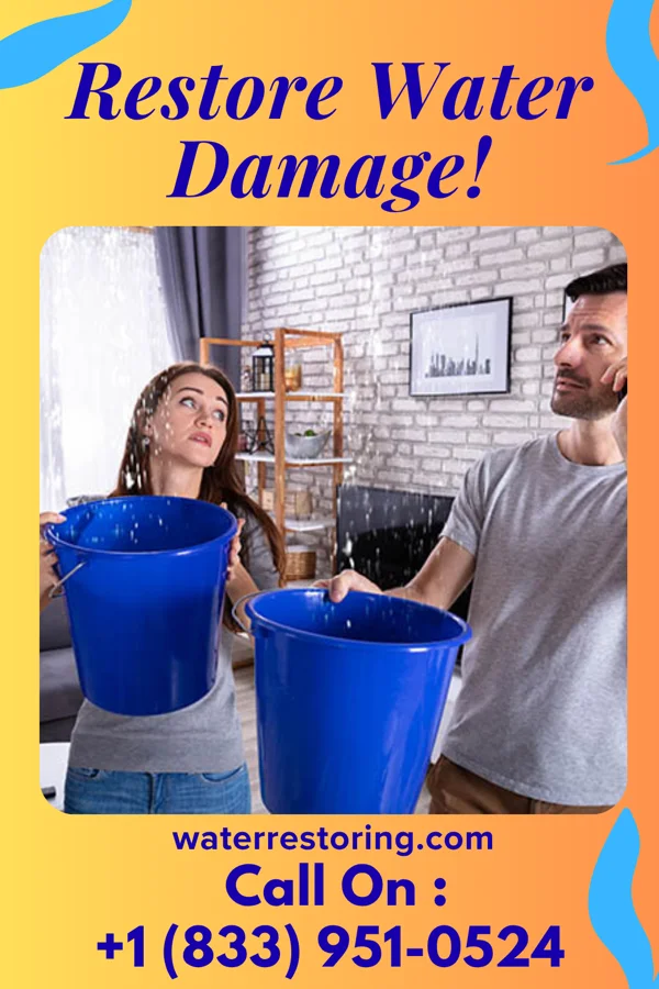water restoration Ultimate Water Repair Network Ridgeley