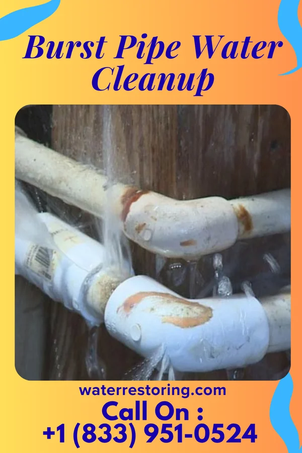 Burst Pipe Water Cleanup in Ridgeley, WV