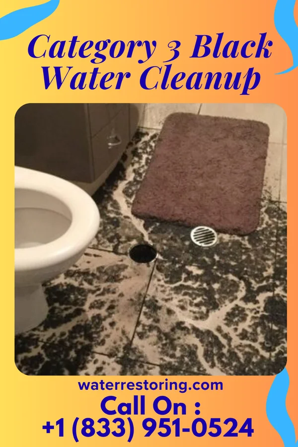 Category 3 Black Water Cleanup in Ridgeley, WV