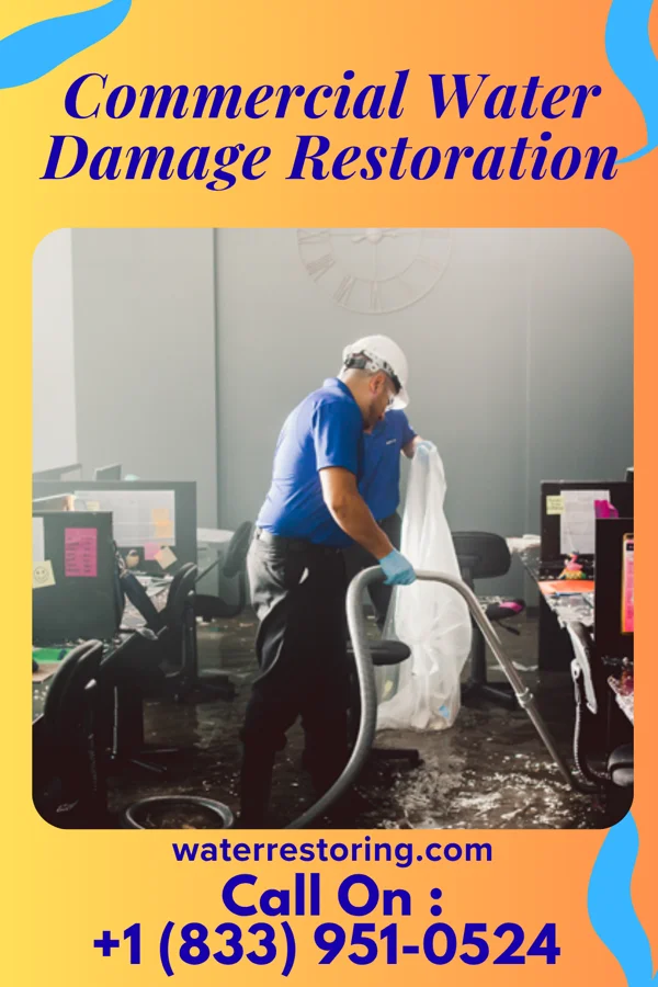 Commercial Water Damage Restoration in Ridgeley, WV