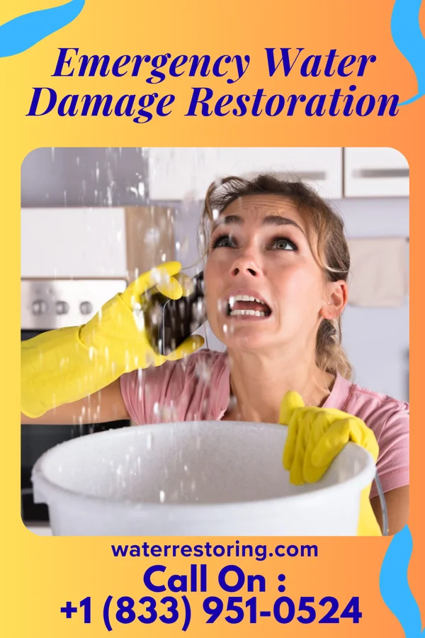 Emergency Water Damage Restoration in Ridgeley, WV