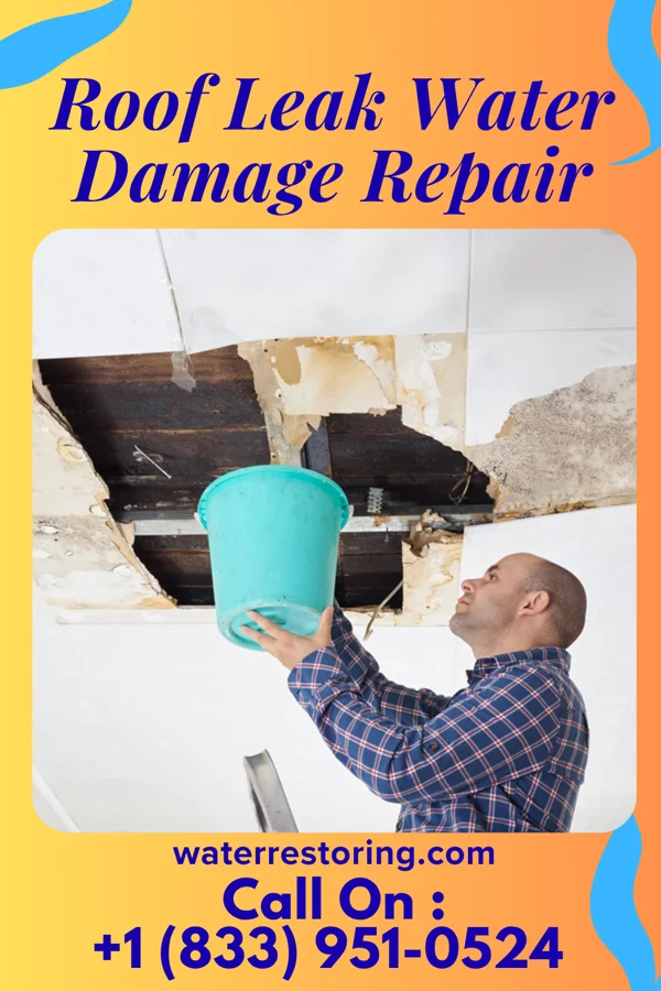 Roof Leak Water Damage Repair in Ridgeley, WV