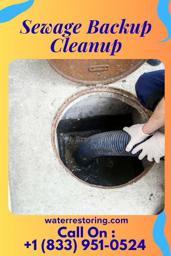Sewage Backup Cleanup in Ridgeley, WV