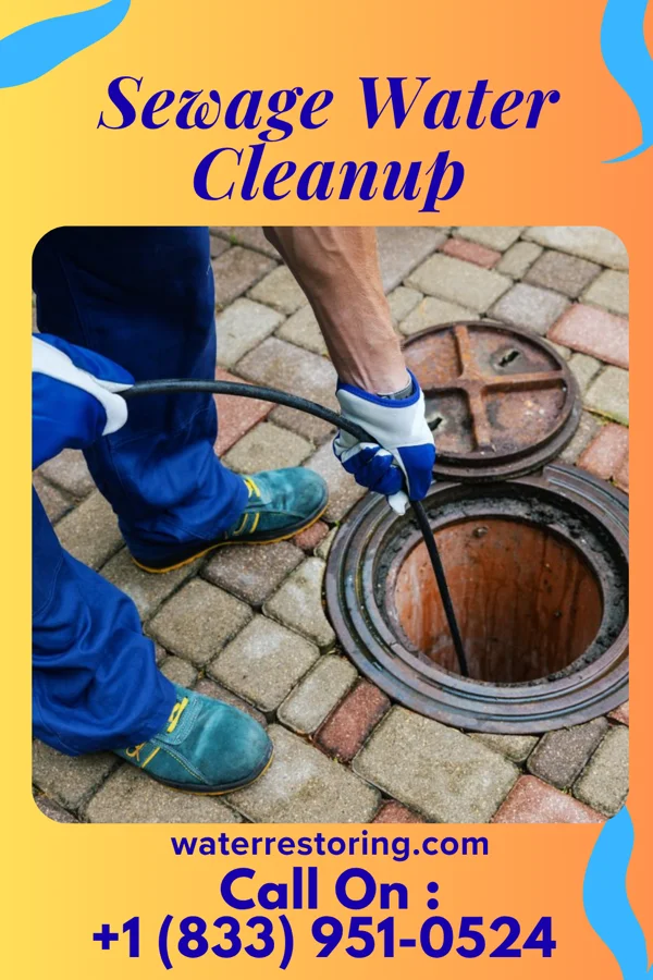 Sewage Water Cleanup in Ridgeley, WV