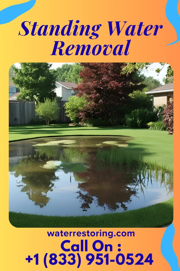 Standing Water Removal in Ridgeley, WV